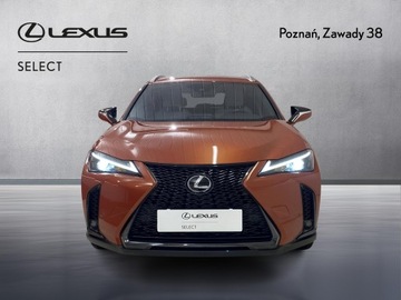 Lexus UX Crossover Facelifting 2.0 250h 184KM 2023 Lexus UX 250h GPF F Sport Design 2WD Lexus UX 250h, zdjęcie 5