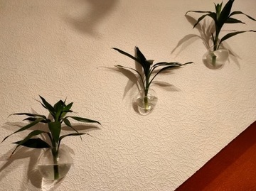 Стеклянная ваза для цветов на стену AQUARIUM BALL