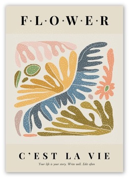BOHO KWIAT NOWOCZESNY PLAKAT OBRAZ 40x50 cm #W46