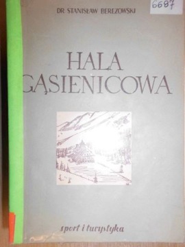 Hala Gąsienicowa - Berezowski