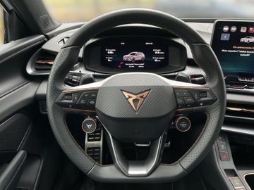 Cupra Terramar 2025 Cupra Terramar 2.0 TSI 204 KM DSG 4Drive/ Advantag, zdjęcie 29