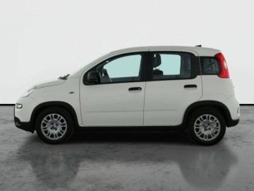 Fiat Panda III 2024 Fiat Panda 1.0 FireFly, Salon Polska, zdjęcie 2