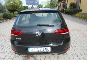 Volkswagen Golf VII Hatchback 3d Facelifting 1.6 TDI-CR DPF BMT 115KM 2019 Volkswagen Golf Volkswagen Golf VII 1.6 Diesel 115KM, zdjęcie 4