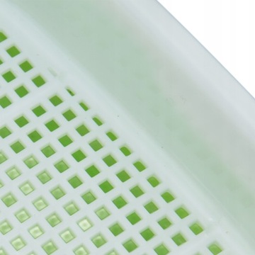 Ящик для проращивания Контейнер для проращивания 2 шт.