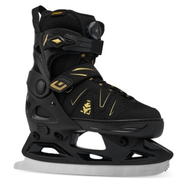 Роликовые коньки Регулируемые фигурные коньки 2в1 RAVEN Pulse PRO Gold FitGo 37-40