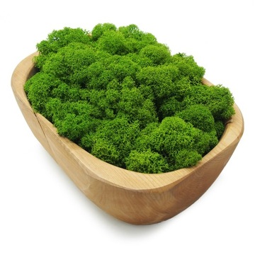 Финский мох 500г сетка, светло-зеленый