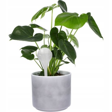 ШАРИКИ ДЛЯ ПОЛИВАНИЯ ДЛЯ ЦВЕТОВ В ГОРШКАХ РАСТЕНИЙ НАБОР ДИСПЕНСЕРОВ ВОДЫ 8 шт.