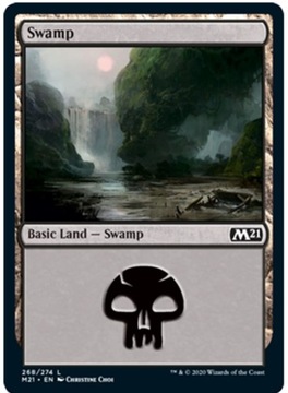 Swamp FOIL Core Set 2021 V.2