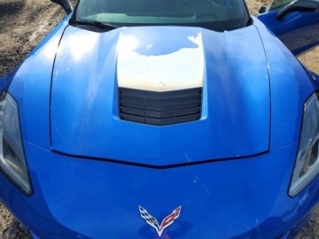 Chevrolet Corvette C7 2019 Chevrolet Corvette Grand Sport 2LT 2019 6.2 Benzyna 460KM, zdjęcie 7