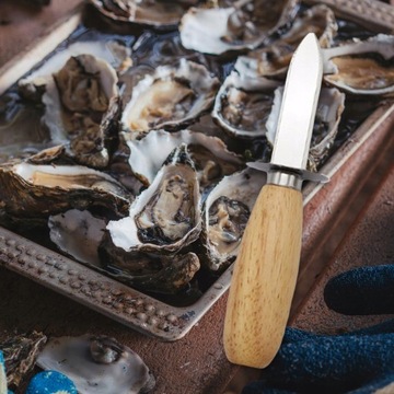 Моллюск из нержавеющей стали, тип B