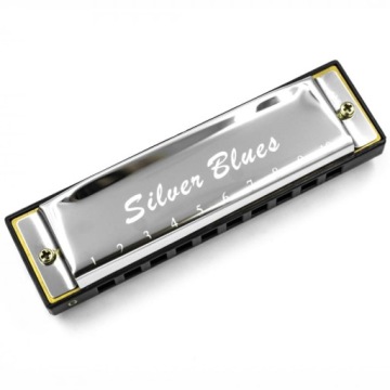 ПРОМО - ДИАТОНИЧЕСКАЯ УСТНАЯ ГАРМОНИКА + УЧЕБНОЕ УЧЕБСТВО