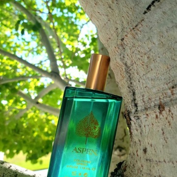 ASPEN Aspen Eau de Cologne для мужчин Мужской аромат EDC 118 мл