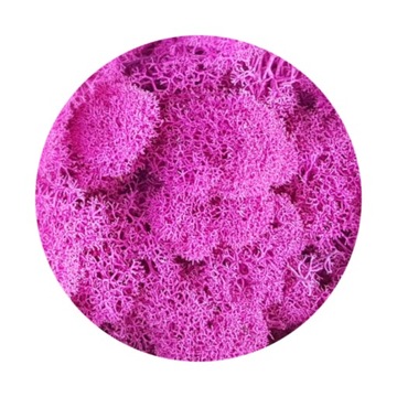 Mech Chrobotek Fiński Różowy Fuchsia 250g