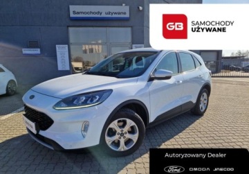 Ford Kuga III SUV 1.5 EcoBoost 150KM 2020 Ford Kuga 1.5 EcoBoost 150 KM Trend Winter, Salon PL 1.5 Benzyna 150KM