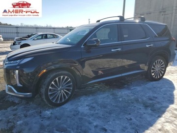 Hyundai 2023 Hyundai Palisade Calligraphy 2023 3.8l 3.8 Benzyna 291KM