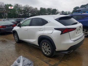 Lexus NX II 2021 Lexus NX 300 Base 2021 2.0 Benzyna 235KM, zdjęcie 1