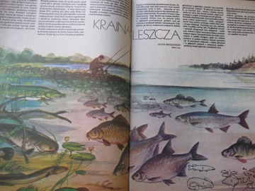 НОВОСТИ РЫБАЛКИ 12 номеров, 1982 г.