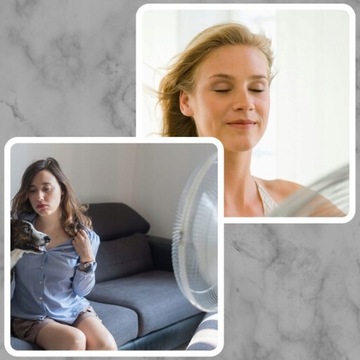 НАСТОЛЬНЫЙ ВЕНТИЛЯТОР, НАПОЛЬНЫЙ ВЕНТИЛЯТОР, ТИХИЙ, МОЩНЫЙ, 7 ЛОПАСТЕЙ, 3 РЕЖИМА, БЕЛЫЙ