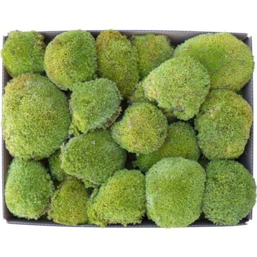 Подушка Премиум Мох Светло-Зеленый Картон 0,12 м2