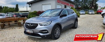 Opel 2020 Opel Grandland X Tylko 66.ooo km Kamera Navi MOZLIWA ZAMIANA 1.2 Benzyna, zdjęcie 9