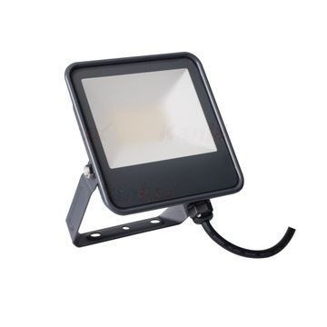 Halogen biały neutralny 3450 lm 30 W