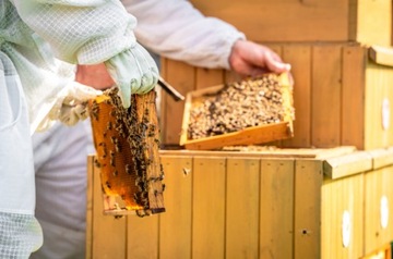 Великопольские рамки гнезд со шлангом Хоффмана FV, Великопольская рамка гнезда