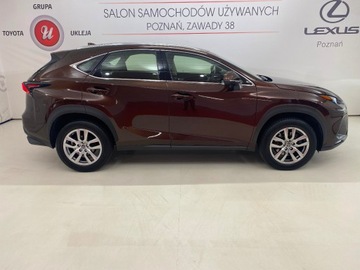 Lexus NX I SUV Facelifting 300 238KM 2018 Lexus NX, zdjęcie 5