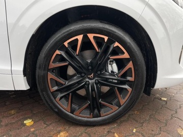 Cupra Terramar 2025 Cupra Terramar 2.0 TSI 204 KM DSG 4Drive/ Advantag, zdjęcie 19