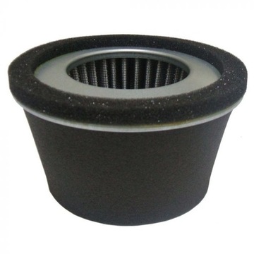 Filtr powietrza ROBIN EY20 W1-185 108x60