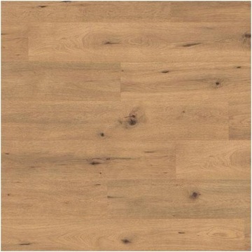 Panele Podłogowe EGGER DĄB SZLACHETNY 2.5m2