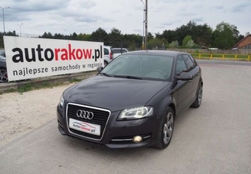 Audi A3 8P Hatchback 3d 1.6 TDI 105KM 2010