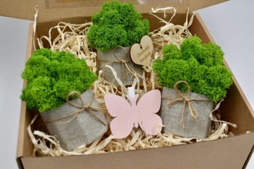 Весенний набор крабовых лесов