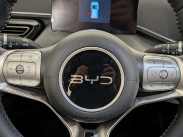 BYD 2025 BYD Dolphin Surf Boost Hatchback (88 KM) 2025, zdjęcie 9