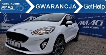 Ford Fiesta VIII Hatchback 3d 1.0 EcoBoost 100KM 2019 Ford Fiesta 1.0 Benzyna 100KM