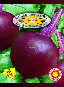 Burak ćwikłowy Czerwona Kula 2 nasiona 10 g
