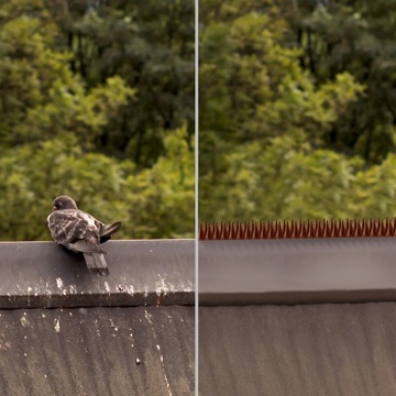 ШИПЫ ДЛЯ ПТИЦ, ГОЛУБЕЙ, ПРОЧНЫЕ, ПЛОТНЫЕ, 10 шт., 5 м.