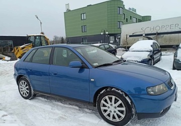 Audi A3 8L Hatchback 1.6 i 102KM 2002
