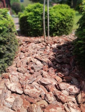 Садовая сосновая кора EXTRA THICK 80-250мм PREMIUM 40шт HAND SORTED