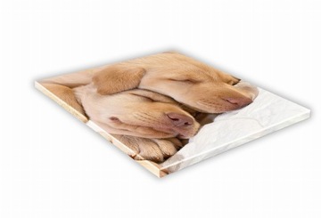 SZKLANA DESKA KUCHENNA 25x25 465e Labrador