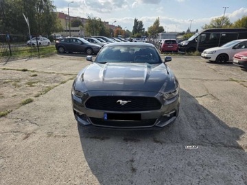 Ford Mustang VI Convertible 2.3 EcoBoost 317KM 2017 Ford Mustang Ford Mustang 2,3 benzyna Automat 2.3 Benzyna 317KM, zdjęcie 8