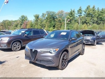 Alfa Romeo Stelvio SUV Facelifting 2.0 Turbo 280KM 2020 Alfa Romeo Stelvio Ti sport awd 2.0 Benzyna 280KM, zdjęcie 1