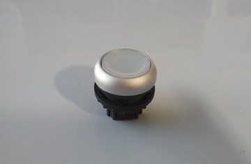 M22-DL-W белая кнопка с подсветкой. с самовозвратом