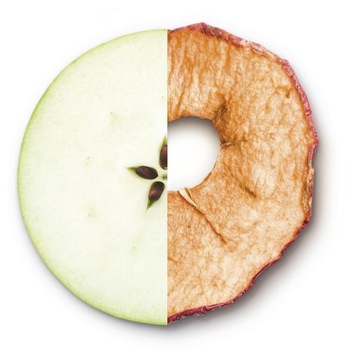 Электрический домашний компостер Sage SWR550 2л 500Вт черный