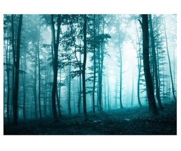 Fototapeta 416x290cm Turkusowy las we mgle