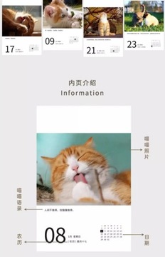 Кошачий календарь 2024, новый настольный календарь, ветер, Новый год, обратный отсчет на 365 дней