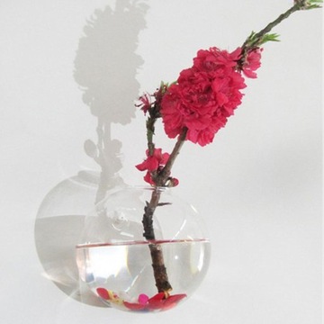 4 настенных подвесных стеклянных цветочных горшка