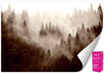 Fototapeta Las w chmurach mgła drzewa w mgle sepia