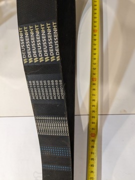 Pasek ACCORD AC690156