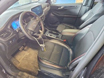 Ford Escape III 2024 Ford Escape ST Line 2024 1.5 Benzyna 180KM, zdjęcie 7