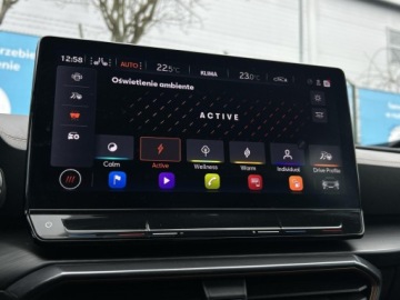 Cupra Formentor Crossover 2.0 TSI 310KM 2022 Cupra Formentor | Travel Assist | Panorama | Hak |, zdjęcie 28